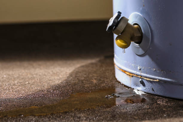 Best Local water damage restoration  in Shelby, OH