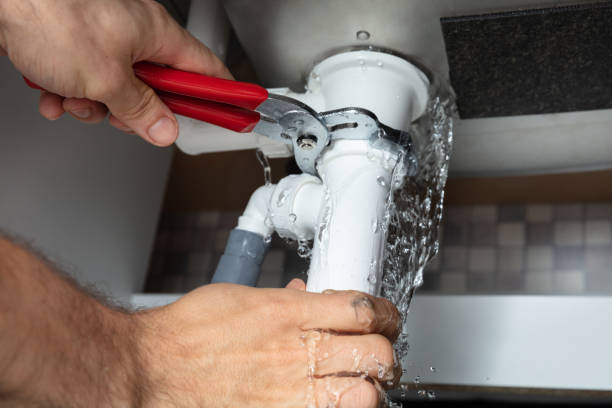 Best Flood damage cleanup  in Shelby, OH