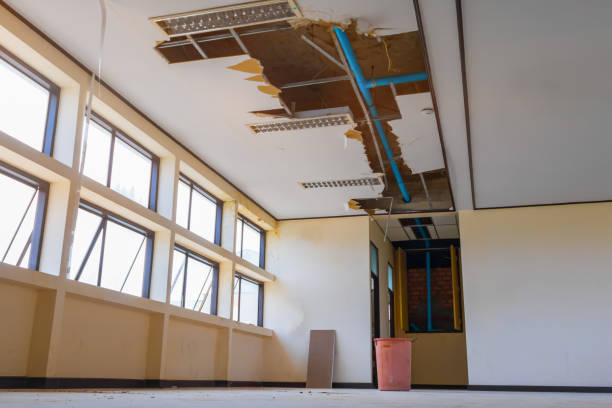 Best Water damage mitigation services  in Shelby, OH