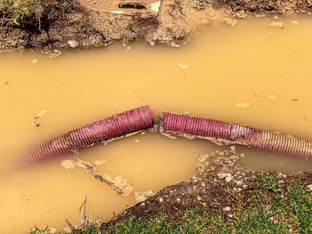 Water damage restoration experts in OH