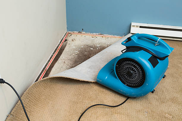 Best Sewage cleanup and water damage restoration  in Shelby, OH